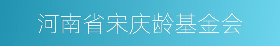 河南省宋庆龄基金会的同义词