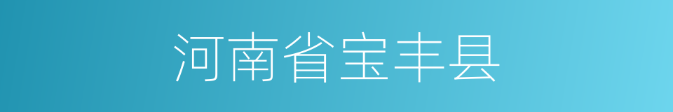 河南省宝丰县的同义词