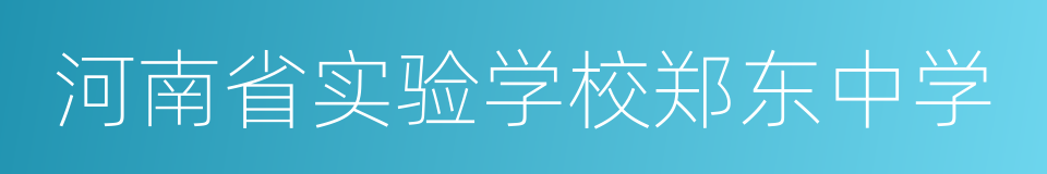 河南省实验学校郑东中学的同义词