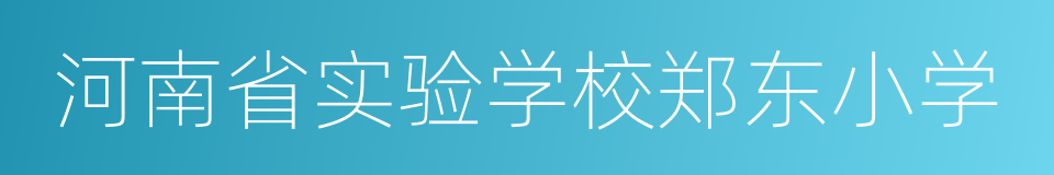 河南省实验学校郑东小学的同义词