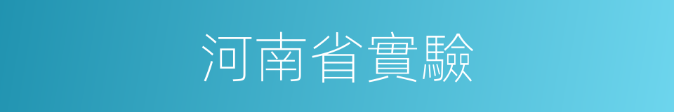 河南省實驗的同義詞