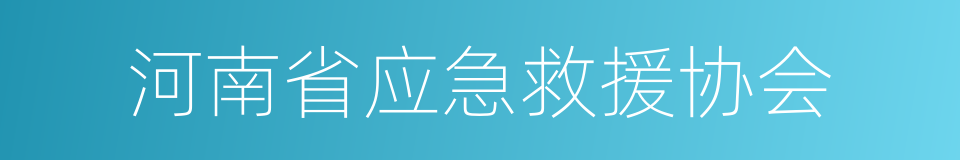 河南省应急救援协会的同义词