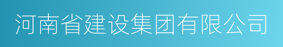 河南省建设集团有限公司的同义词