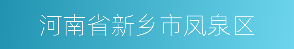 河南省新乡市凤泉区的同义词