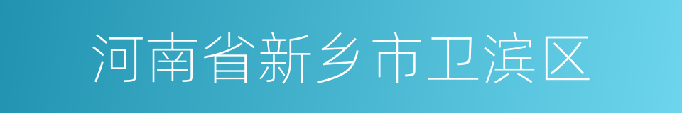 河南省新乡市卫滨区的同义词