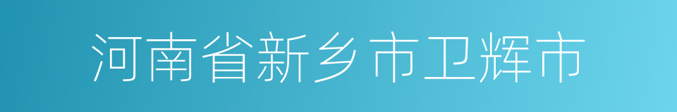 河南省新乡市卫辉市的同义词