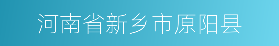 河南省新乡市原阳县的同义词