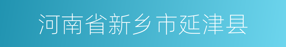 河南省新乡市延津县的同义词