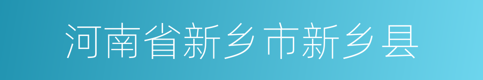 河南省新乡市新乡县的同义词