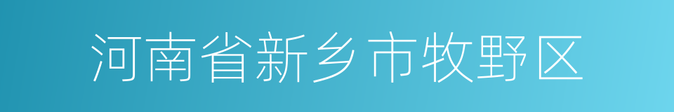 河南省新乡市牧野区的同义词