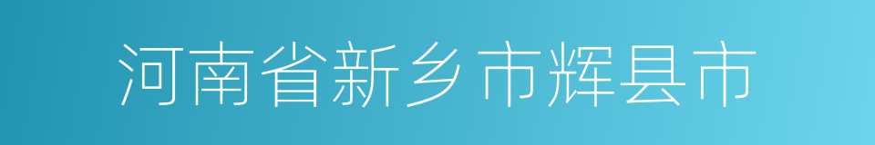 河南省新乡市辉县市的同义词