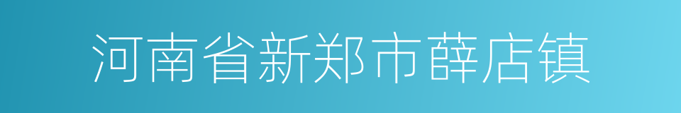 河南省新郑市薛店镇的同义词