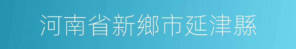 河南省新鄉市延津縣的同義詞