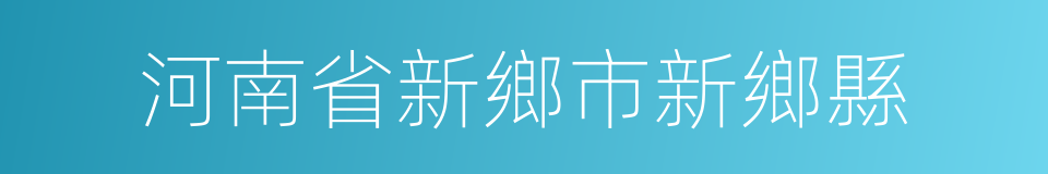 河南省新鄉市新鄉縣的同義詞