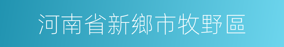 河南省新鄉市牧野區的同義詞