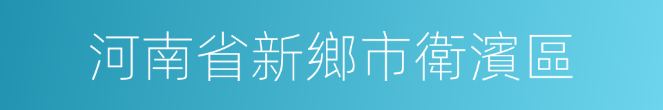 河南省新鄉市衛濱區的同義詞