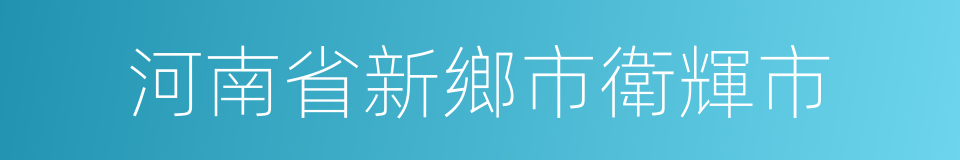 河南省新鄉市衛輝市的同義詞