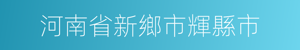 河南省新鄉市輝縣市的同義詞