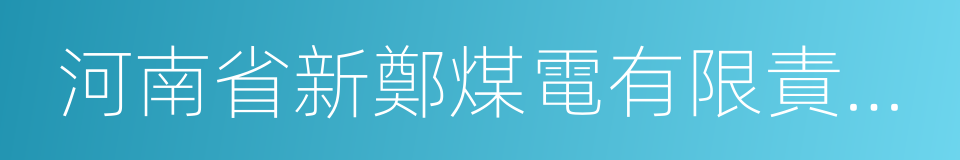 河南省新鄭煤電有限責任公司的同義詞