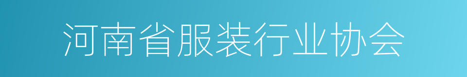 河南省服装行业协会的同义词