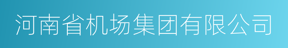 河南省机场集团有限公司的同义词