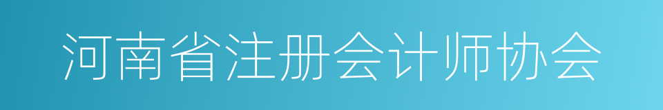 河南省注册会计师协会的同义词