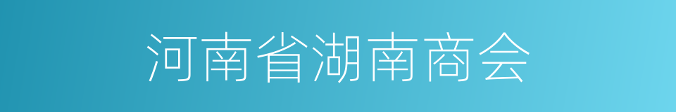 河南省湖南商会的同义词