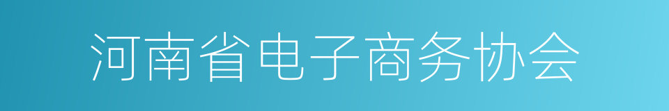 河南省电子商务协会的同义词