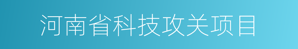 河南省科技攻关项目的同义词