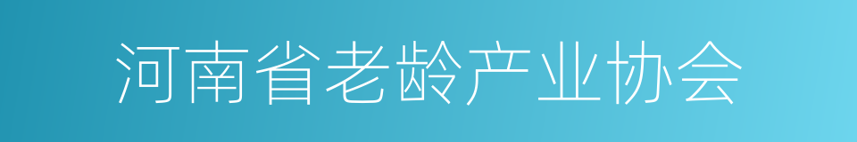 河南省老龄产业协会的同义词