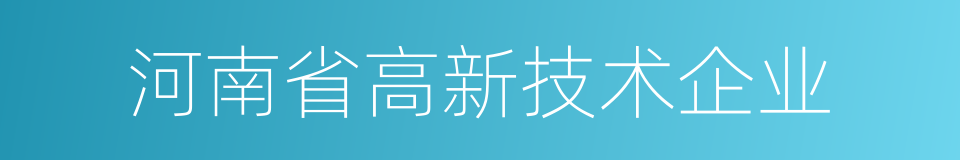 河南省高新技术企业的同义词