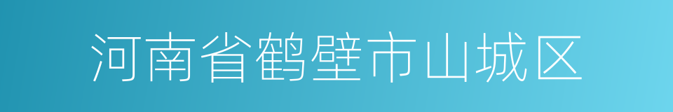 河南省鹤壁市山城区的同义词