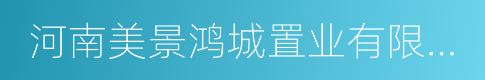 河南美景鸿城置业有限公司的同义词