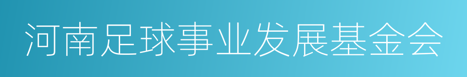 河南足球事业发展基金会的同义词