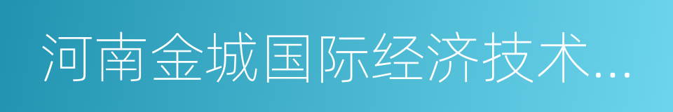 河南金城国际经济技术合作有限公司的同义词