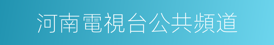 河南電視台公共頻道的同義詞