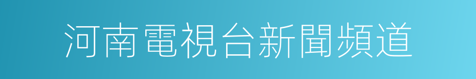 河南電視台新聞頻道的同義詞