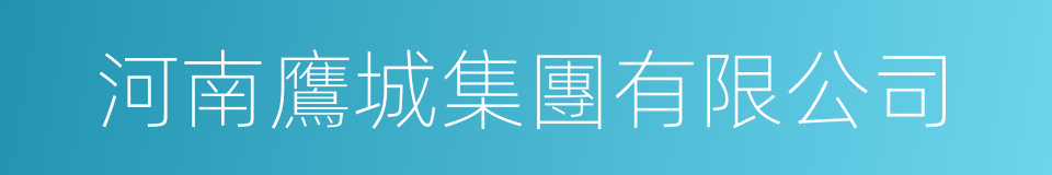 河南鷹城集團有限公司的同義詞