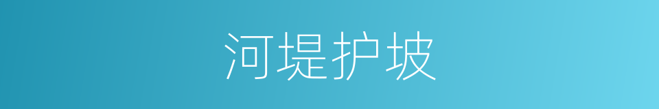 河堤护坡的同义词