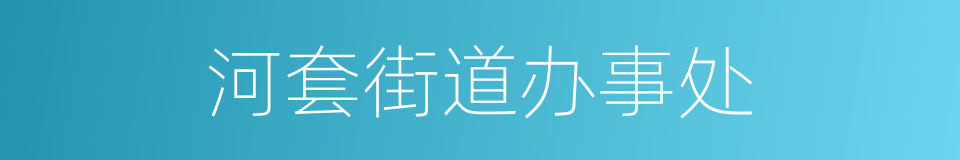 河套街道办事处的同义词