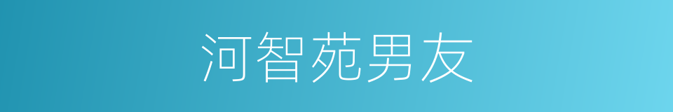 河智苑男友的同义词