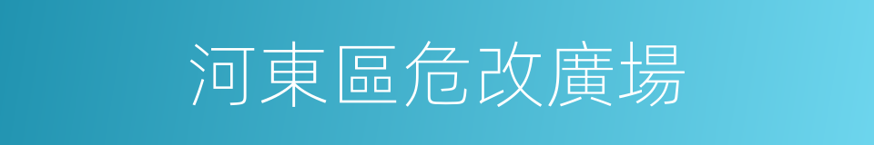 河東區危改廣場的同義詞
