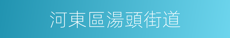 河東區湯頭街道的同義詞