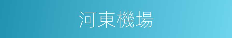 河東機場的同義詞