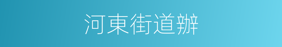 河東街道辦的同義詞