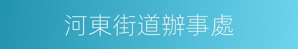 河東街道辦事處的同義詞