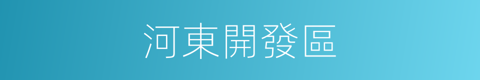 河東開發區的同義詞