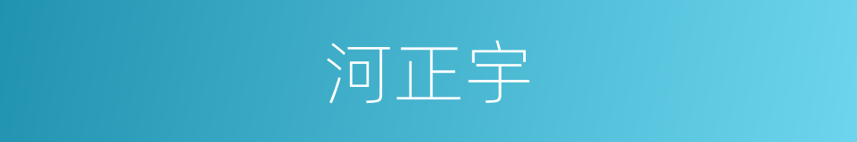 河正宇的同义词