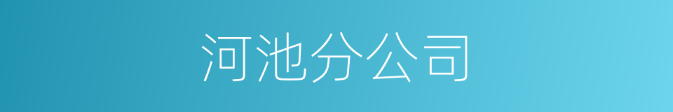 河池分公司的同义词