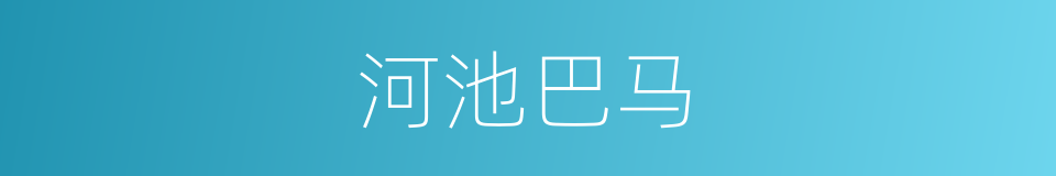 河池巴马的同义词